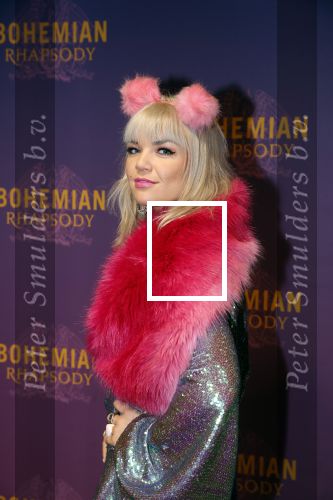 Amsterdam 30 oktober 2018
Premiere Bohemian Rhapsody in tuschinski.