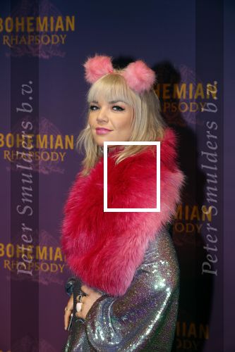 Amsterdam 30 oktober 2018
Premiere Bohemian Rhapsody in tuschinski.