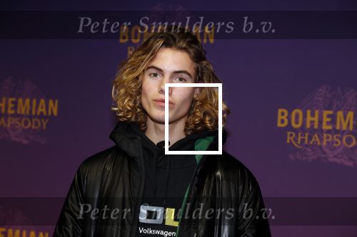 Amsterdam 30 oktober 2018
Premiere Bohemian Rhapsody in tuschinski.