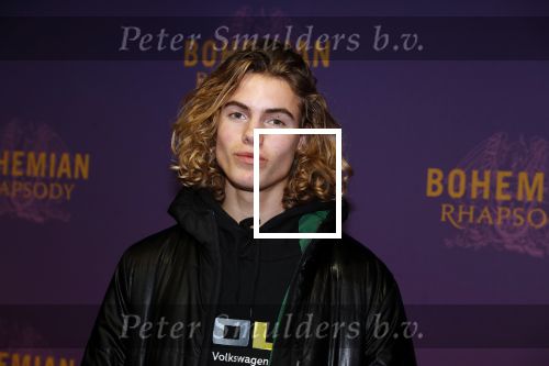 Amsterdam 30 oktober 2018
Premiere Bohemian Rhapsody in tuschinski.