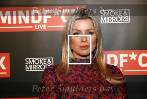Amsterdam 25 oktober 2018
Premiere Victor Mids in AFAS live. Bridget Maasland
