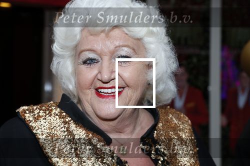Amsterdam 5 november 2018
Opening Toppers party cafe met Jan Smit Jeroen v d Boom Rene Froger en Gerard Joling. Country Wilma met man
