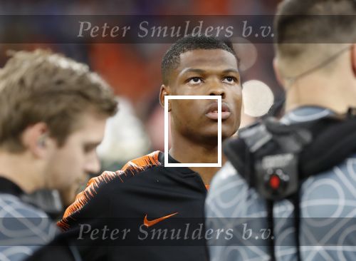 Amsterdam, 13 Oktober 2018
Nederland-/Duitsland , eindstand 3-0
Debuut voor Denzel Dumfries en Steven Bergwijn van PSV