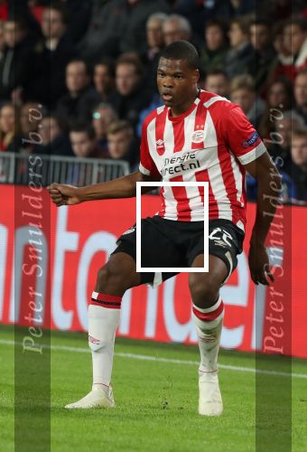 Eindhoven, 24 Oktober 2018 PSV-Tottemham Hotspur.
Duel in de voorronde Champions League, eindstand 2-2.
Denzel Dumfries