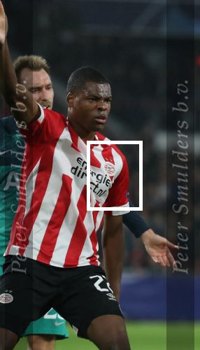 Eindhoven, 24 Oktober 2018 PSV-Tottemham Hotspur.
Duel in de voorronde Champions League, eindstand 2-2.
Denzel Dumfries