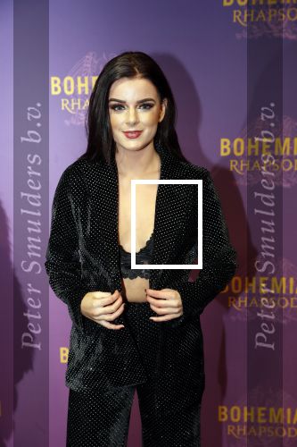 Amsterdam 30 oktober 2018
Premiere Bohemian Rhapsody in tuschinski. 
Dianne v d Eng