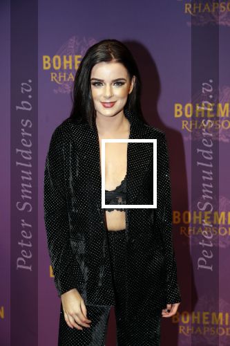 Amsterdam 30 oktober 2018
Premiere Bohemian Rhapsody in tuschinski. 
Dianne v d Eng