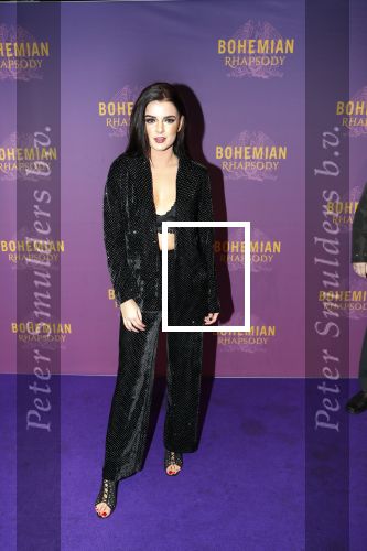 Amsterdam 30 oktober 2018
Premiere Bohemian Rhapsody in tuschinski. 
Dianne v d Eng
