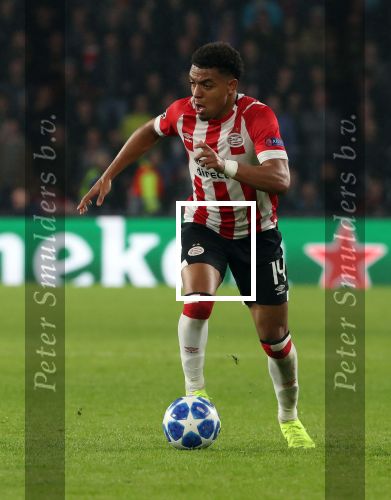 Eindhoven, 24 Oktober 2018 PSV-Tottemham Hotspur.
Duel in de voorronde Champions League, eindstand 2-2.
Donyell Malen