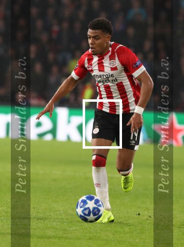 Eindhoven, 24 Oktober 2018 PSV-Tottemham Hotspur.
Duel in de voorronde Champions League, eindstand 2-2.
Donyell Malen