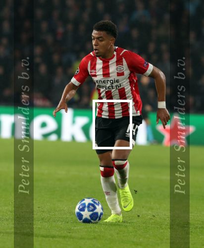 Eindhoven, 24 Oktober 2018 PSV-Tottemham Hotspur.
Duel in de voorronde Champions League, eindstand 2-2.
Donyell Malen