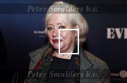 Amsterdam 22 augustus 2018
Premiere Evita in carre. Duck Jetten met â€¦