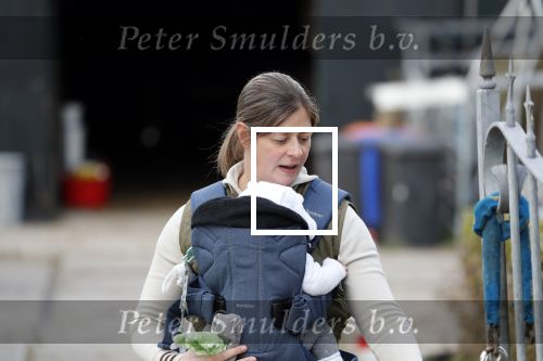 Wijdewormer 19 oktober 2018
Marnix Knetemann aan het werk op zijn boerderij. Zij zus Elise komt op bezoek met haar pas geboren baby.