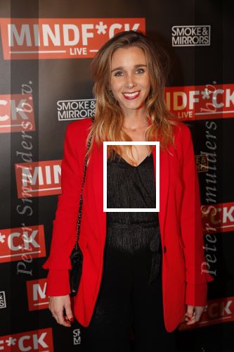 Amsterdam 25 oktober 2018
Premiere Victor Mids in AFAS live. Ellen Hoog zwanger