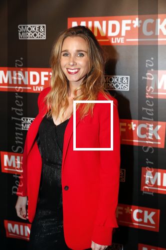 Amsterdam 25 oktober 2018
Premiere Victor Mids in AFAS live. Ellen Hoog zwanger