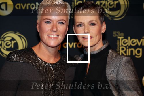Amsterdam 11 oktober 2018
Uitreiking televizierring in AFAS LIVE.
Beau v Erven Dorens in de grote winnaar. Ellie Lust en partner Boukje