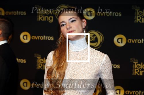 Amsterdam 11 oktober 2018
Uitreiking televizierring in AFAS LIVE.
Beau v Erven Dorens in de grote winnaar. Emma Wortelboer