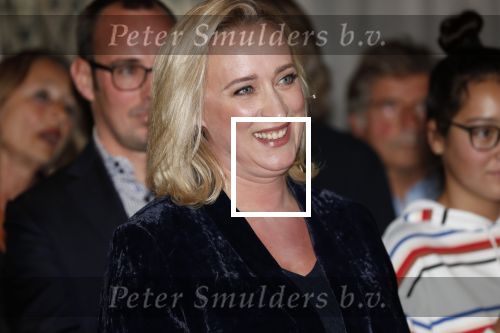 Amsterdam 23 oktober 2018
Boekpresentatie van Antoinette Scheulderman in de soho House . Eva Jinek overhandigt haar het eerste boek.