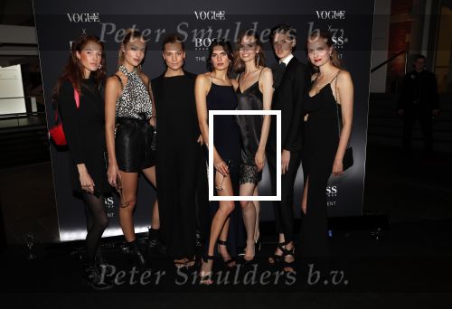 Amsterdam 1 november 2018
Voque en Hugo Boss avond in het stedelijk museum. Felice Fleur
