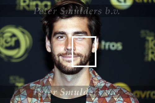 Amsterdam 11 oktober 2018
Uitreiking televizierring in AFAS LIVE.
Beau v Erven Dorens in de grote winnaar. Gala Alvaro Soler