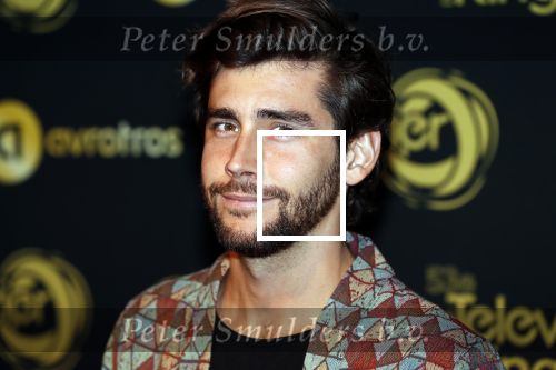 Amsterdam 11 oktober 2018
Uitreiking televizierring in AFAS LIVE.
Beau v Erven Dorens in de grote winnaar. Gala Alvaro Soler