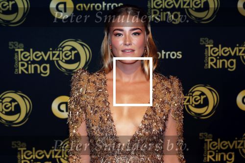 Amsterdam 11 oktober 2018
Uitreiking televizierring in AFAS LIVE.
Beau v Erven Dorens in de grote winnaar. Geraldine Kemper