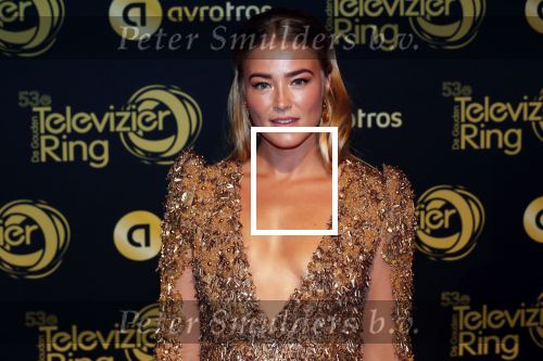 Amsterdam 11 oktober 2018
Uitreiking televizierring in AFAS LIVE.
Beau v Erven Dorens in de grote winnaar. Geraldine Kemper