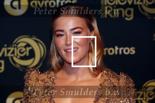Amsterdam 11 oktober 2018
Uitreiking televizierring in AFAS LIVE.
Beau v Erven Dorens in de grote winnaar. Geraldine Kemper