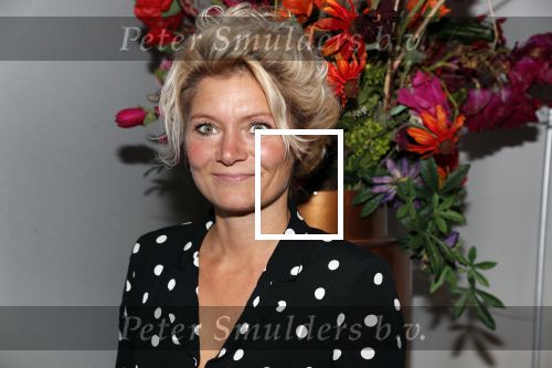 Amsterdam 28 oktober 2018
Premiere Expeditei eiland in theater de meervaart. Hanneke Drent