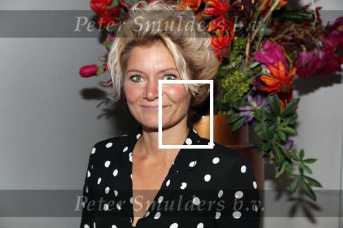 Amsterdam 28 oktober 2018
Premiere Expeditei eiland in theater de meervaart. Hanneke Drent