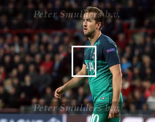 Eindhoven, 24 Oktober 2018 PSV-Tottemham Hotspur.
Duel in de voorronde Champions League, eindstand 2-2.
Harry Kane