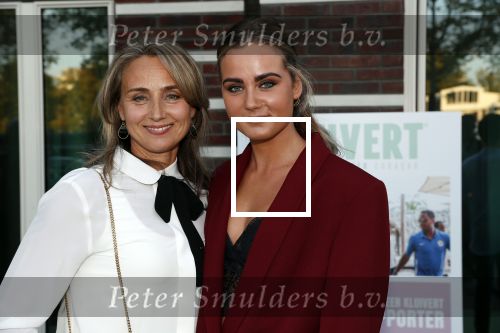 Amsterdam 4 oktober 2018
Gala ten bate van het Kluivert Dog rescue center op Curacao (patrick en Rosanna Kluivert) in het Pescana Hotel. Henriette en Estella Bergkamp en Nino Wilkes