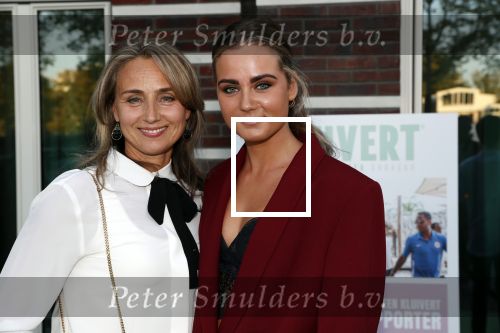 Amsterdam 4 oktober 2018
Gala ten bate van het Kluivert Dog rescue center op Curacao (patrick en Rosanna Kluivert) in het Pescana Hotel. Henriette en Estella Bergkamp en Nino Wilkes
