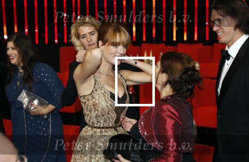 Amsterdam 11 oktober 2018
Uitreiking televizierring in AFAS LIVE.
Beau v Erven Dorens in de grote winnaar. ilse Warringa met man