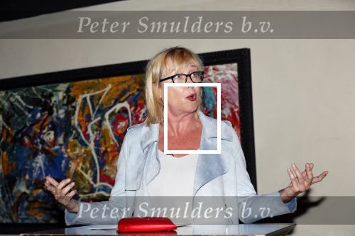 Amsterdam 1 november 2018
Boekpresentatie Frank Waals op Rembrandtplein.  Aanwezig oa Harrie Klooster Barry Stevens Inge Ipenburg en Mariska v Kolck