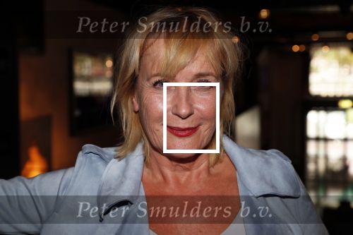 Amsterdam 1 november 2018
Boekpresentatie Frank Waals op Rembrandtplein.  Aanwezig oa Harrie Klooster Barry Stevens Inge Ipenburg en Mariska v Kolck