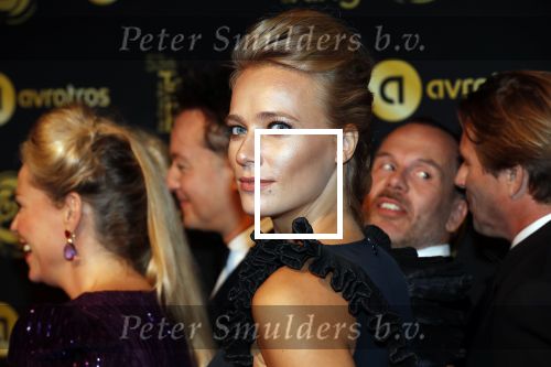 Amsterdam 11 oktober 2018
Uitreiking televizierring in AFAS LIVE.
Beau v Erven Dorens in de grote winnaar. Jennifer Hoffman