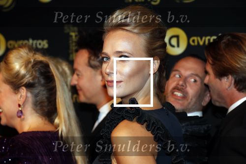 Amsterdam 11 oktober 2018
Uitreiking televizierring in AFAS LIVE.
Beau v Erven Dorens in de grote winnaar. Jennifer Hoffman