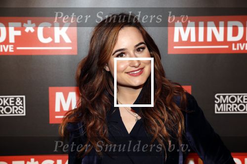 Amsterdam 25 oktober 2018
Premiere Victor Mids in AFAS live. Jill Schirnhofer