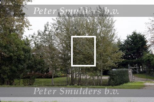Alkmaar 21 oktober 2018
Huis van Julio Poch.