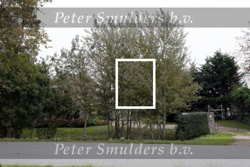 Alkmaar 21 oktober 2018
Huis van Julio Poch.