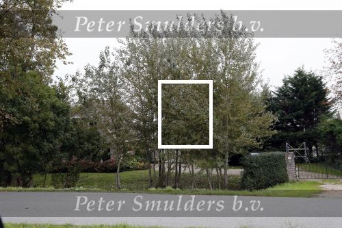 Alkmaar 21 oktober 2018
Huis van Julio Poch.