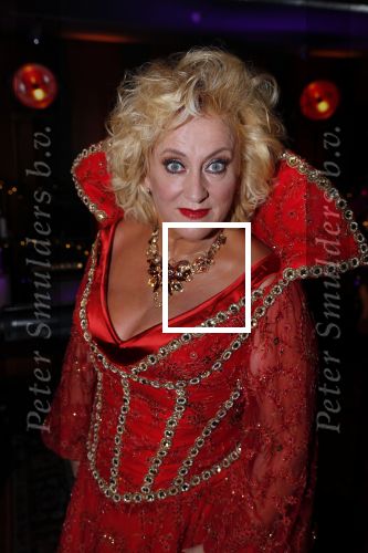 Hilversum 2 oktober 2018
Presentatie kerstshow met Xander de Buisonje Trijntje Oosterhuis Lee Towers Edsilia Rombley Karin Bloemen Danny de Munk en Anita Meier in de wisseloord studioâ€™s.