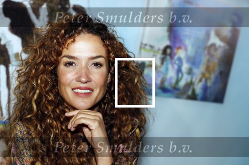Hilversum 2 oktober 2018
Presentatie voorleesboeken van Katja Schuurman ism Jumbo en Campina. Birgit Schuurman overhandigt eerste exemplaren.