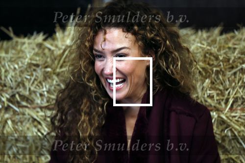 Hilversum 2 oktober 2018
Presentatie voorleesboeken van Katja Schuurman ism Jumbo en Campina. Birgit Schuurman overhandigt eerste exemplaren.