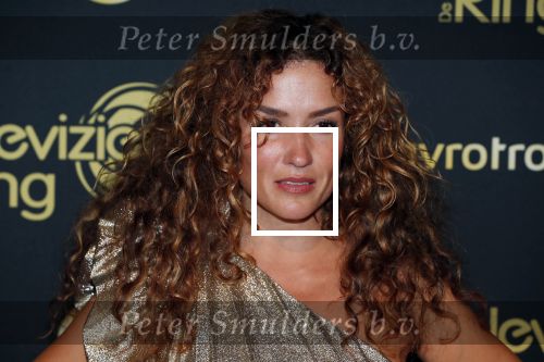 Amsterdam 11 oktober 2018
Uitreiking televizierring in AFAS LIVE.
Beau v Erven Dorens in de grote winnaar. katja Schuurman