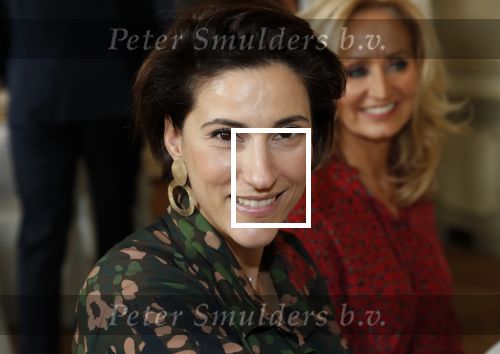 Amsterdam 13 november 2018
Presentatie parfum van Olcay Gulsen in het waldorf Astoria Hotel. Kristina Bozilovic