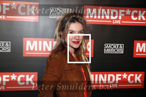 Amsterdam 25 oktober 2018
Premiere Victor Mids in AFAS live. Lauren Verster
