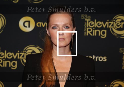 Amsterdam 11 oktober 2018
Uitreiking televizierring in AFAS LIVE.
Beau v Erven Dorens in de grote winnaar.
Leonie ter Braak