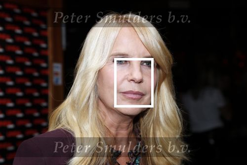 Amsterdam 5 november 2018
Presentatie Linda Man door Linda de Mol en Beau v erven Dorens.